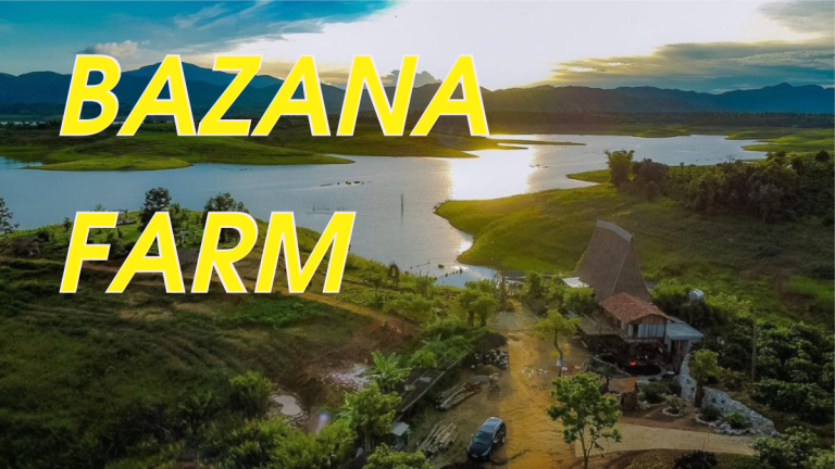 Bazana Farm – Kon Trang Long Loi Tỉnh Kon tum