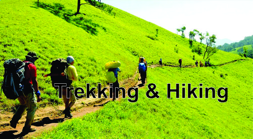 Trekking và Hiking Cùng Là Đi Bộ Nhưng Có Gì Khác Biệt