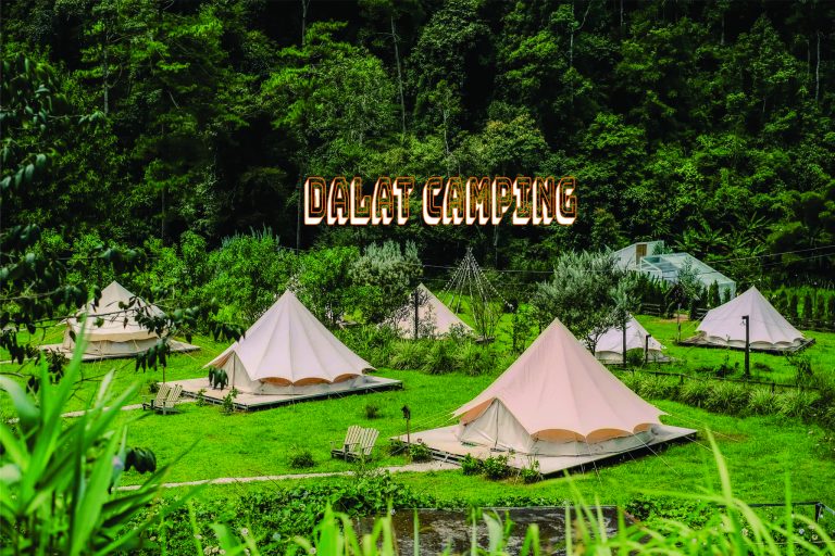 DALAT CAMP HÒA MÌNH VỚI THIÊN NHIÊN ĐÀ LẠT