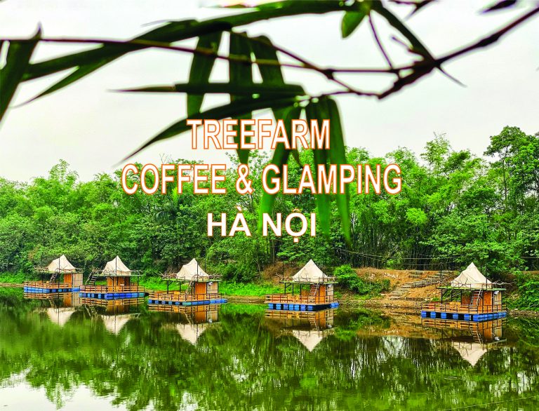TREEFARM COFFEE & GLAMPING HÀ NỘI