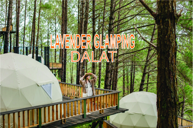 Hòa mình vào thiên nhiên tại Lavender Glamping Dalat